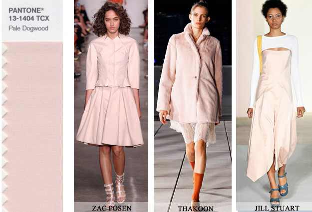 escala-pantone-colores-verano-2018-pale-dogwood