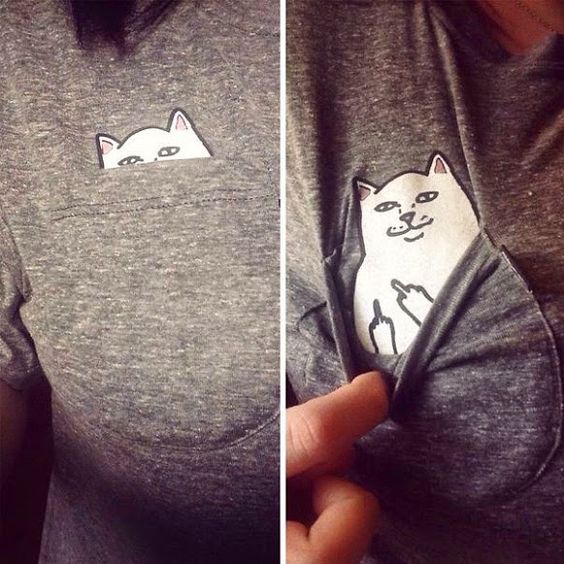 estampado-de-gatito-audaces-figura10